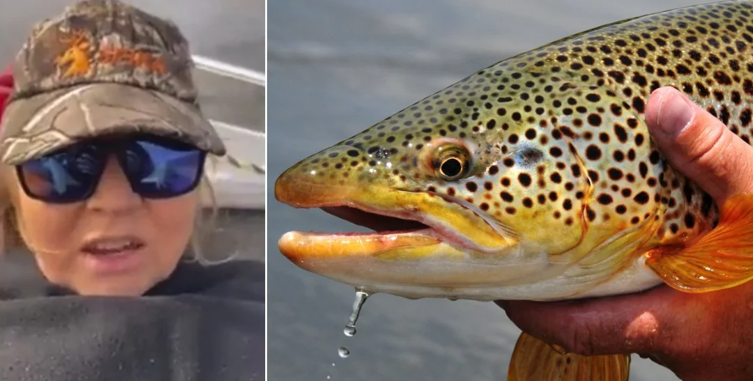 Australian Trout Lady Video